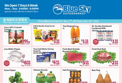 Blue Sky Supermarket (North York) Flyer November 17 to 23