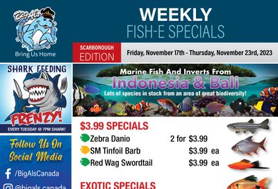 Big Al's (Scarborough) Weekly Specials November 17 to 23