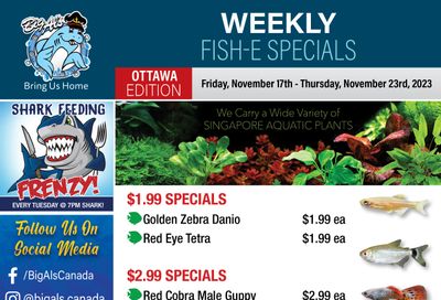Big Al's (Ottawa East) Weekly Specials November 17 to 23