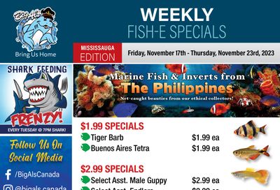 Big Al's (Mississauga) Weekly Specials November 17 to 23