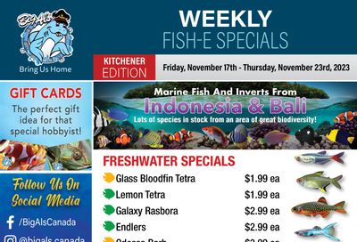 Big Al's (Kitchener) Weekly Specials November 17 to 23