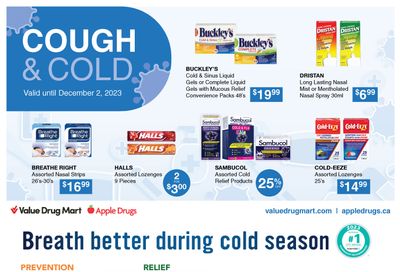 Value Drug Mart Flyer November 19 to December 2