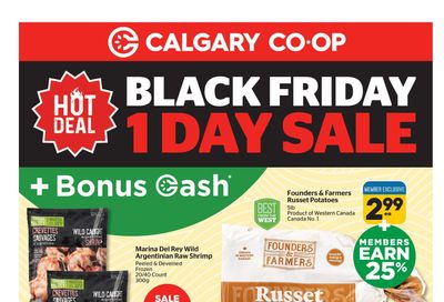 Calgary Co-op Flyer November 23 to 29