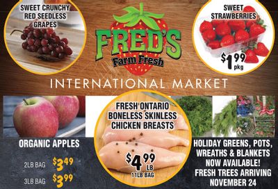 Fred's Farm Fresh Flyer November 22 to 28