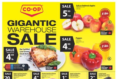 Co-op (West) Food Store Flyer November 23 to 29