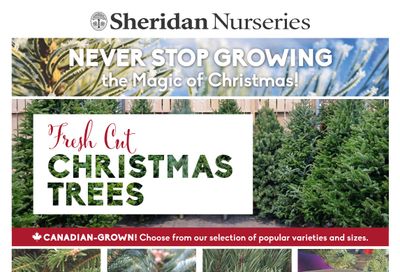 Sheridan Nurseries Flyer November 23 to 29