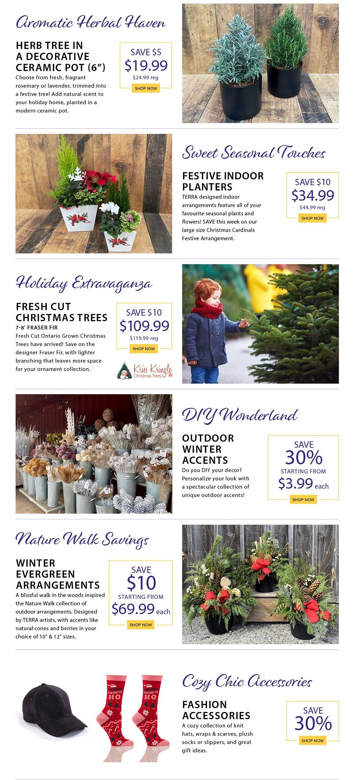 Terra Greenhouses Flyer November 24 to 30