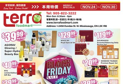 Terra Foodmart Flyer November 24 to 30
