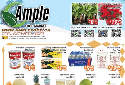 Ample Food Market (Brampton) Flyer November 24 to 30