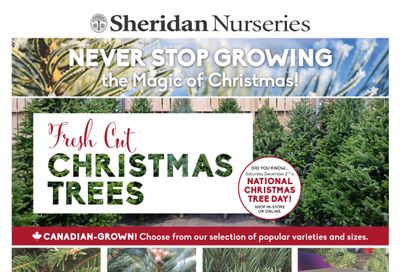 Sheridan Nurseries Flyer November 30 to December 6