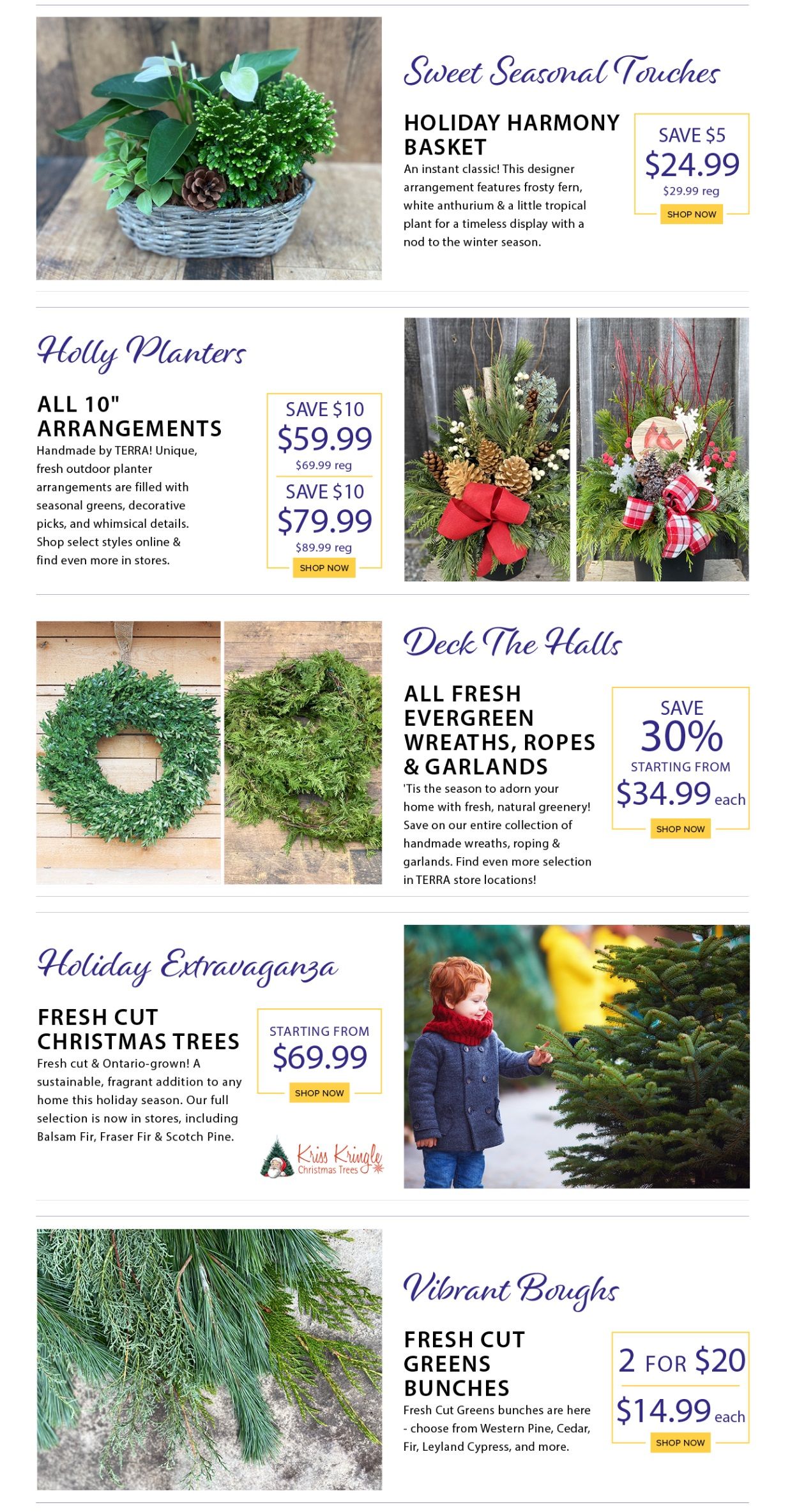 Terra Greenhouses Flyer December 1 to 7
