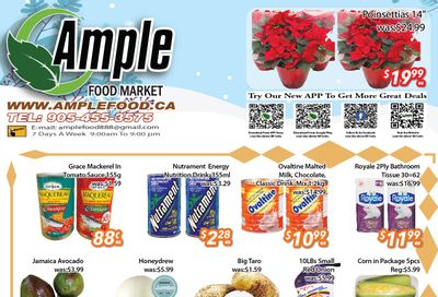 Ample Food Market (Brampton) Flyer December 1 to 7