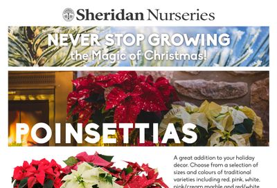 Sheridan Nurseries Flyer December 7 to 13