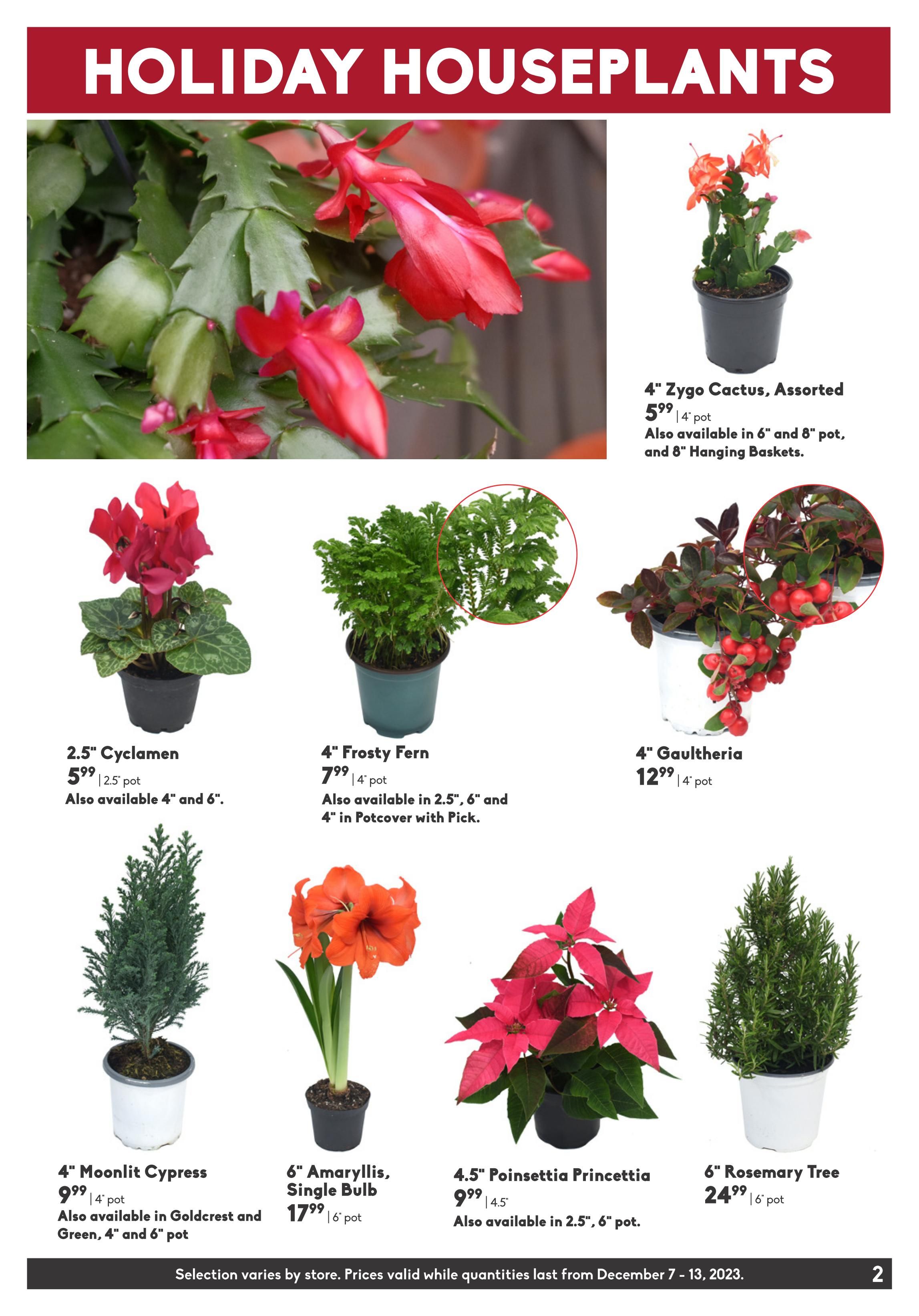 Sheridan Nurseries Flyer December 7 to 13