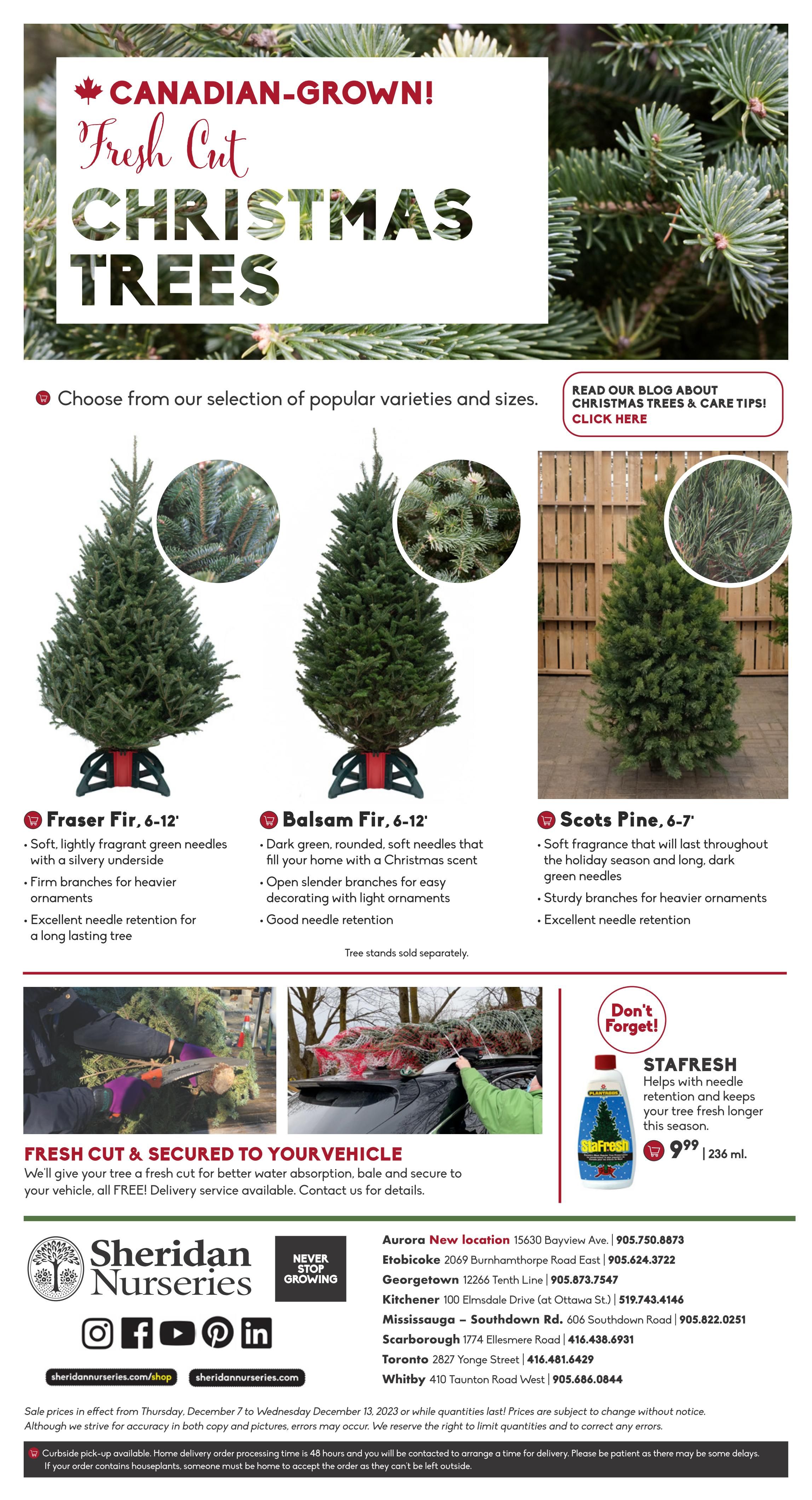 Sheridan Nurseries Flyer December 7 to 13