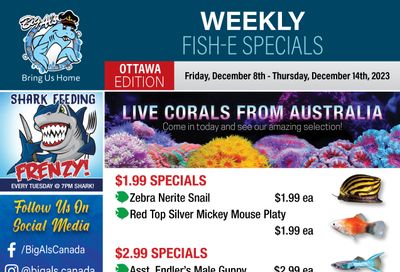 Big Al's (Ottawa East) Weekly Specials December 8 to 14