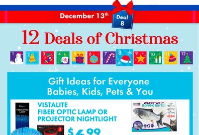 Big Box Outlet Store Flyer December 13 to 17