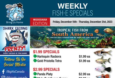 Big Al's (Mississauga) Weekly Specials December 15 to 21