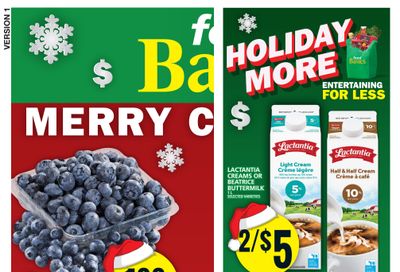 Food Basics Flyer December 21 to 27