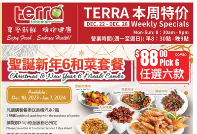 Terra Foodmart Flyer December 22 to 28