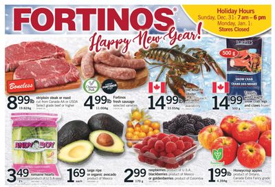 Fortinos Flyer December 28 to January 3
