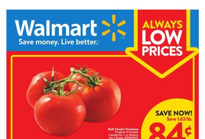 Walmart (ON) Flyer December 28 to January 3