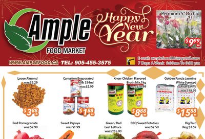 Ample Food Market (Brampton) Flyer December 29 to January 4