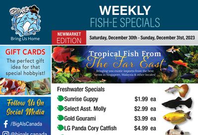 Big Al's (Newmarket) Weekly Specials December 30 and 31