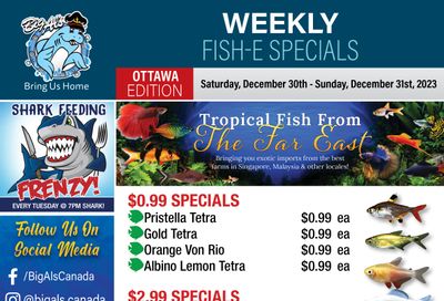 Big Al's (Ottawa East) Weekly Specials December 30 and 31