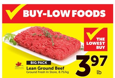 Buy-Low Foods (BC) Flyer January 4 to 10