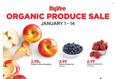 Hy-Vee (IA, IL, MN, MO, SD) Weekly Ad Flyer Specials January 1 to January 14, 2024