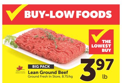 Buy-Low Foods (AB) Flyer January 4 to 10