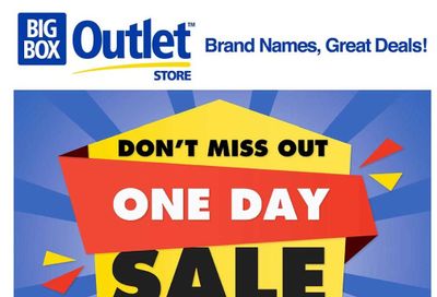Big Box Outlet Store Flyer January 17