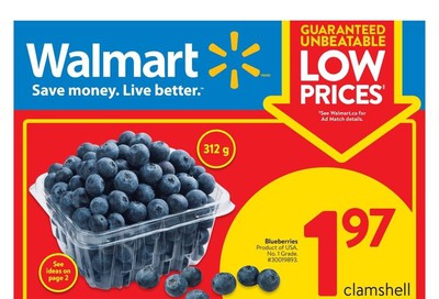Walmart (ON) Flyer May 28 to June 3
