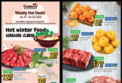 Galleria Supermarket Flyer January 19 to 25