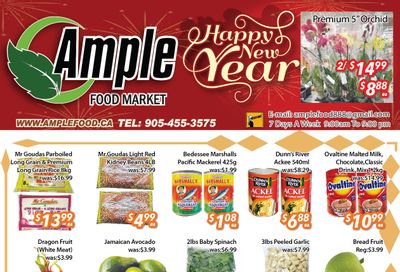 Ample Food Market (Brampton) Flyer January 19 to 25