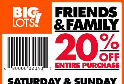 Big Lots Flyers & Weekly Ads March 2024