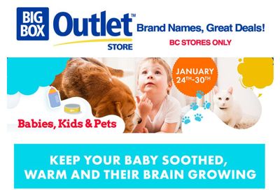 Big Box Outlet Store Flyer January 24 to 30