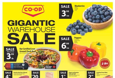 Co-op (West) Food Store Flyer January 25 to 31