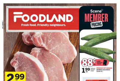 Foodland (Atlantic) Flyer February 1 to 7