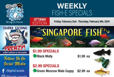 Big Al's (Ottawa East) Weekly Specials February 2 to 8