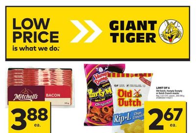 Giant Tiger (West) Flyer February 7 to 13