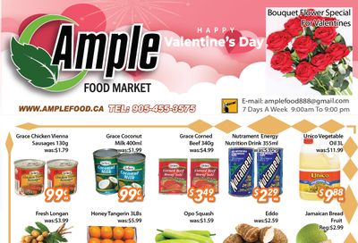 Ample Food Market (Brampton) Flyer February 9 to 15