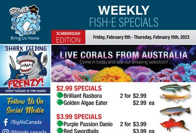 Big Al's (Scarborough) Weekly Specials February 9 to 15