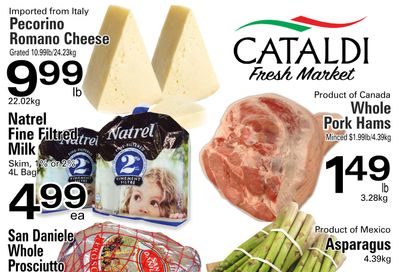 Cataldi Fresh Market Flyer February 14 to 20