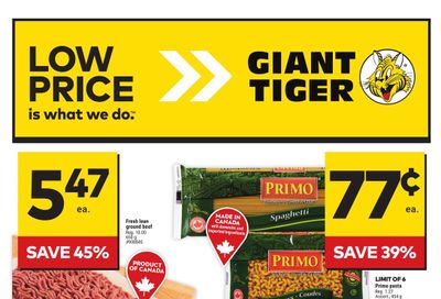 Giant Tiger (Atlantic) Flyer February 14 to 20
