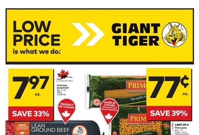 Giant Tiger (West) Flyer February 14 to 20