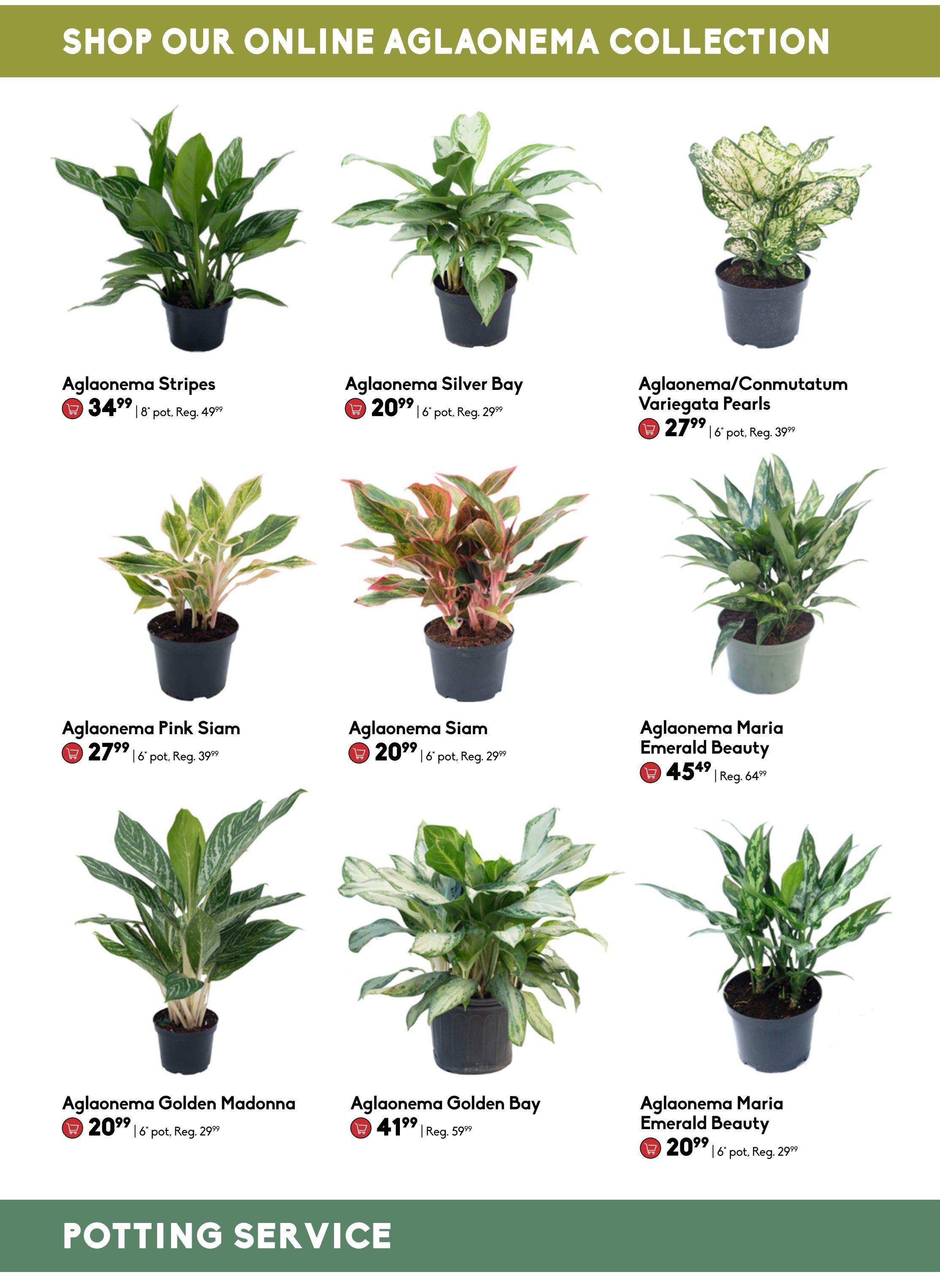 Sheridan Nurseries Flyer February 15 to 21