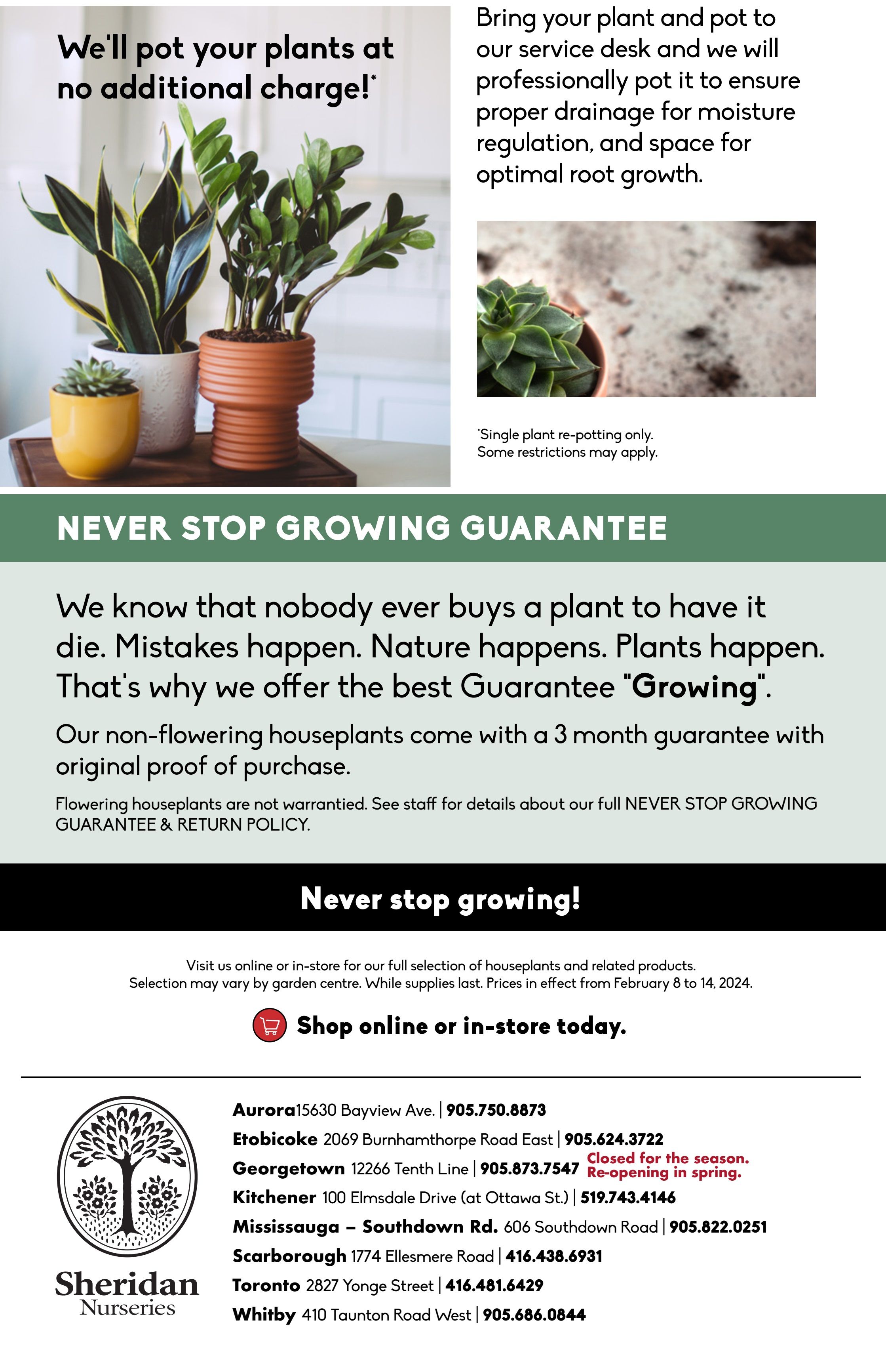 Sheridan Nurseries Flyer February 15 to 21