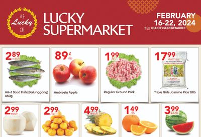 Lucky Supermarket (Winnipeg) Flyer February 16 to 22